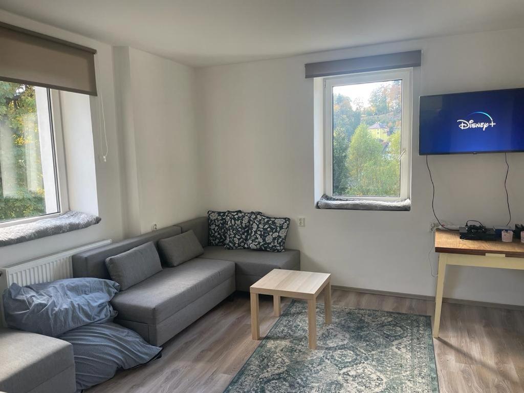 Vila Dum Lucni Smržovka Exteriér fotografie